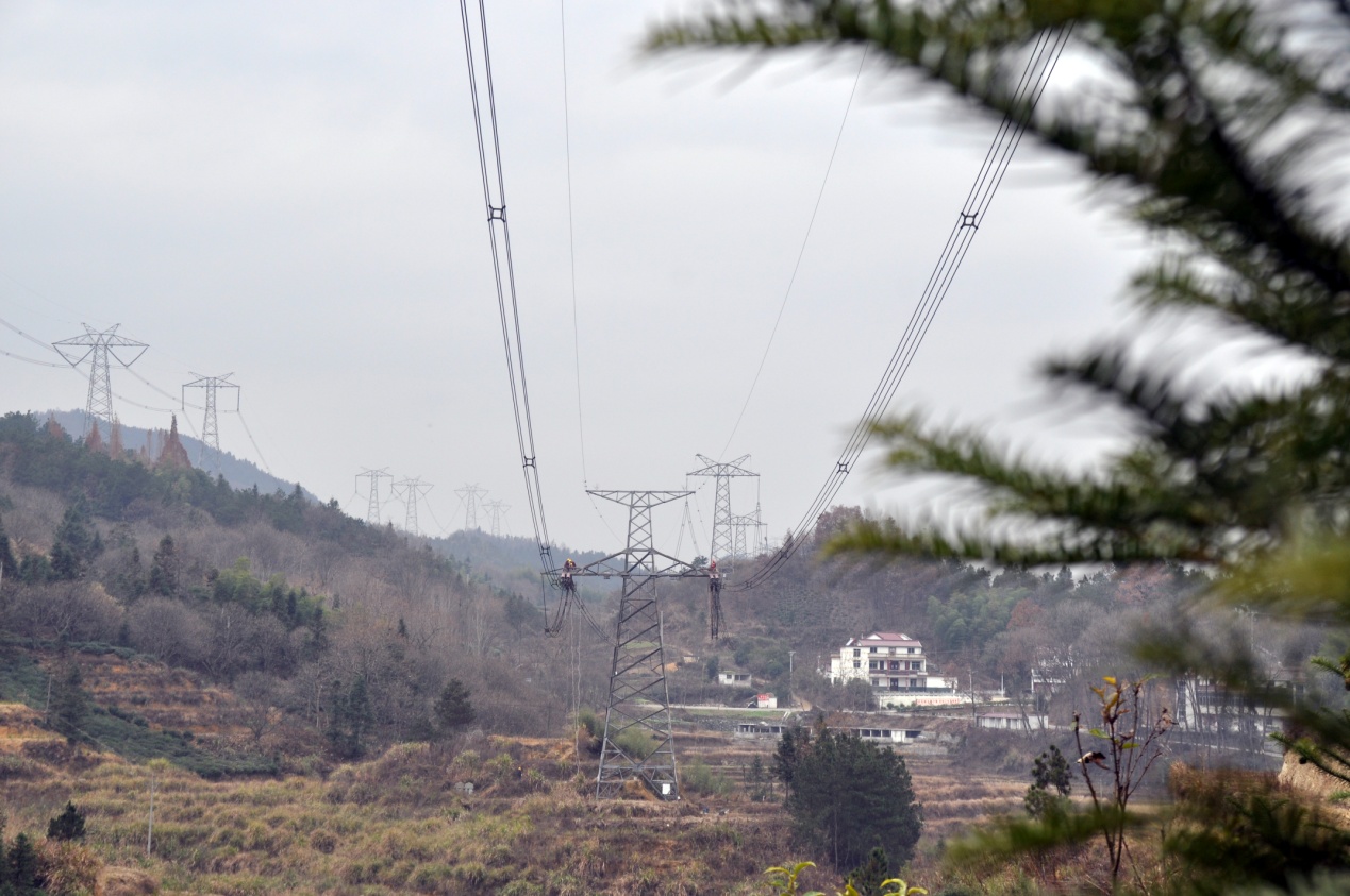 1548316991533699.jpg 1548316991533699.jpg